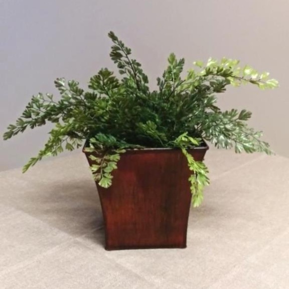 Make It Chic Home Other - Fern In Rust Metal Container